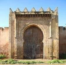 صورة السائق محمد فقيد